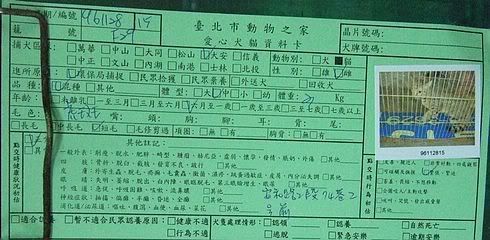 圖檔