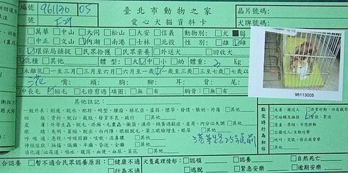 圖檔