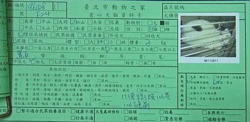 圖檔