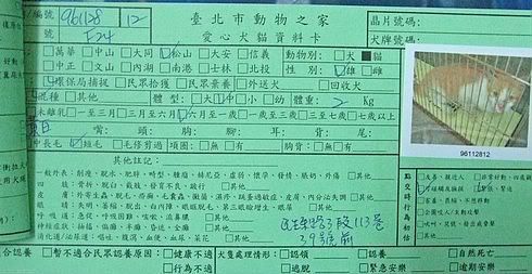 圖檔