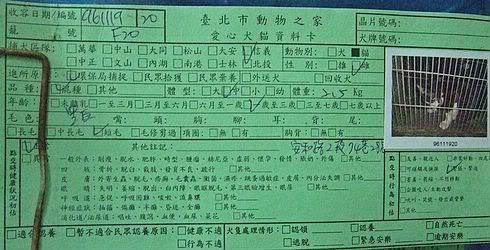 圖檔