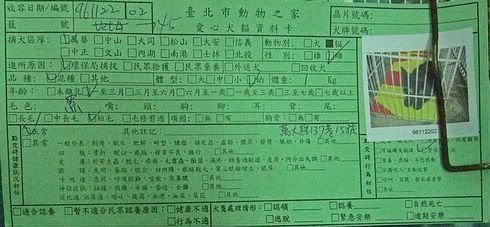 圖檔