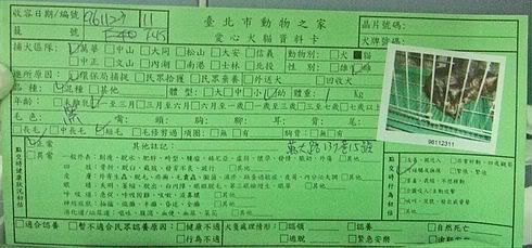 圖檔