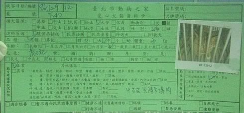 圖檔