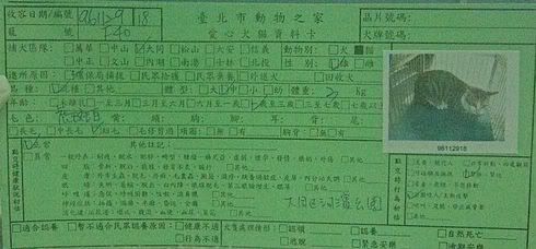 圖檔