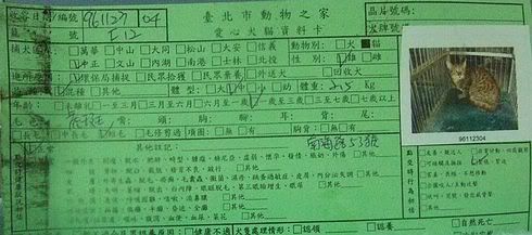 圖檔
