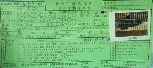 圖檔