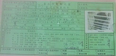 圖檔