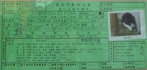 圖檔