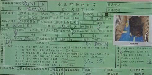 圖檔
