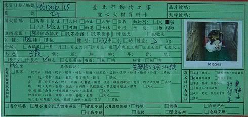 圖檔