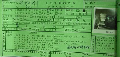 圖檔