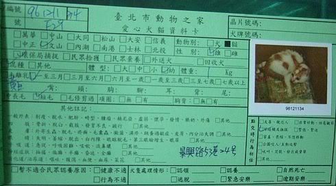 圖檔