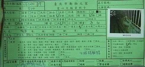 圖檔