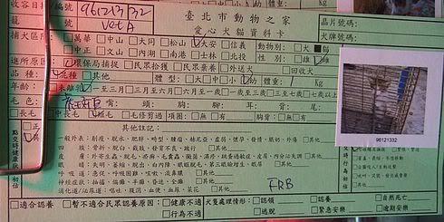 圖檔