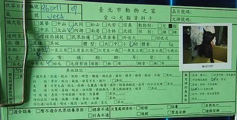 圖檔