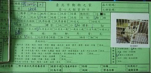 圖檔