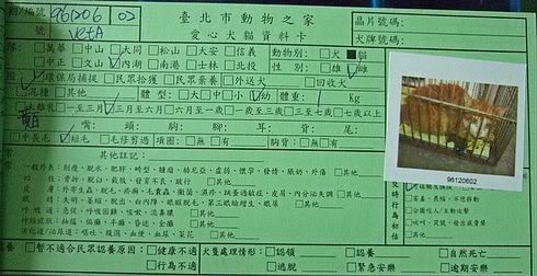 圖檔