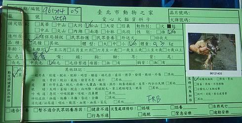 圖檔