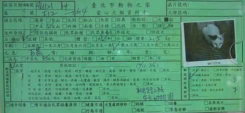 圖檔
