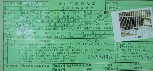 圖檔