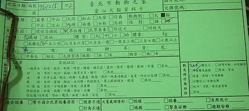 圖檔