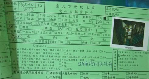 圖檔