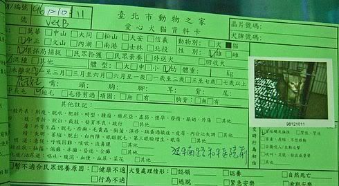圖檔