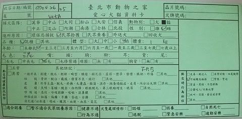圖檔