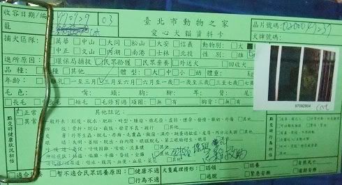 圖檔