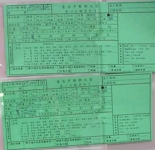 圖檔