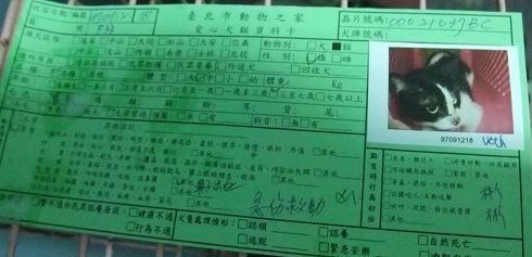 圖檔