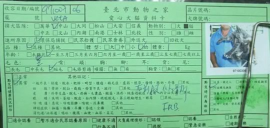 圖檔