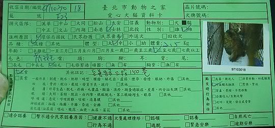 圖檔