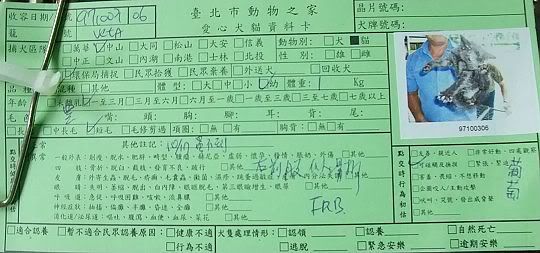圖檔