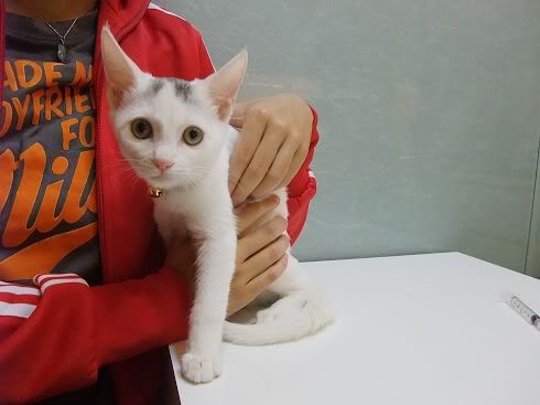 圖檔