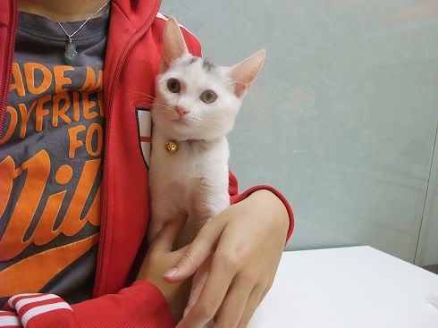 圖檔