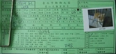 圖檔