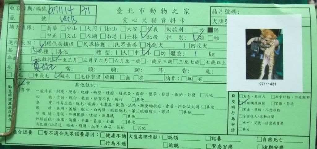 圖檔