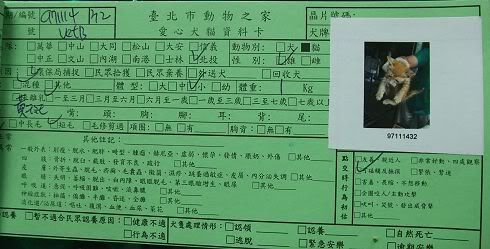 圖檔