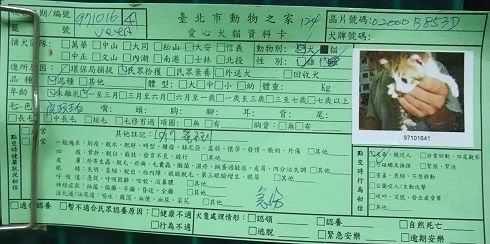 圖檔