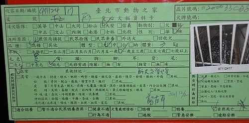 圖檔
