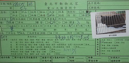 圖檔