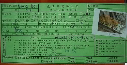 圖檔