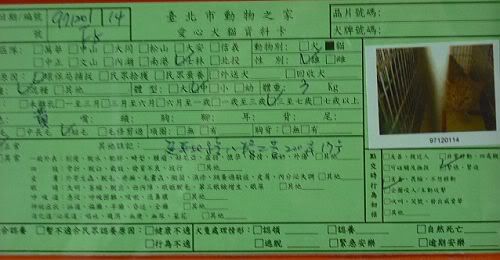 圖檔