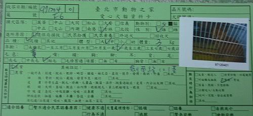 圖檔