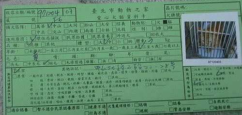 圖檔