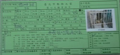 圖檔