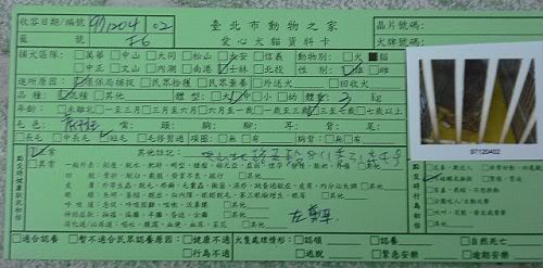 圖檔