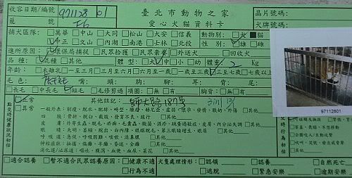 圖檔